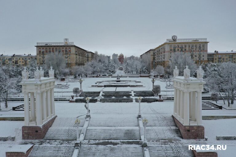 org_f2f6ab424595dc12