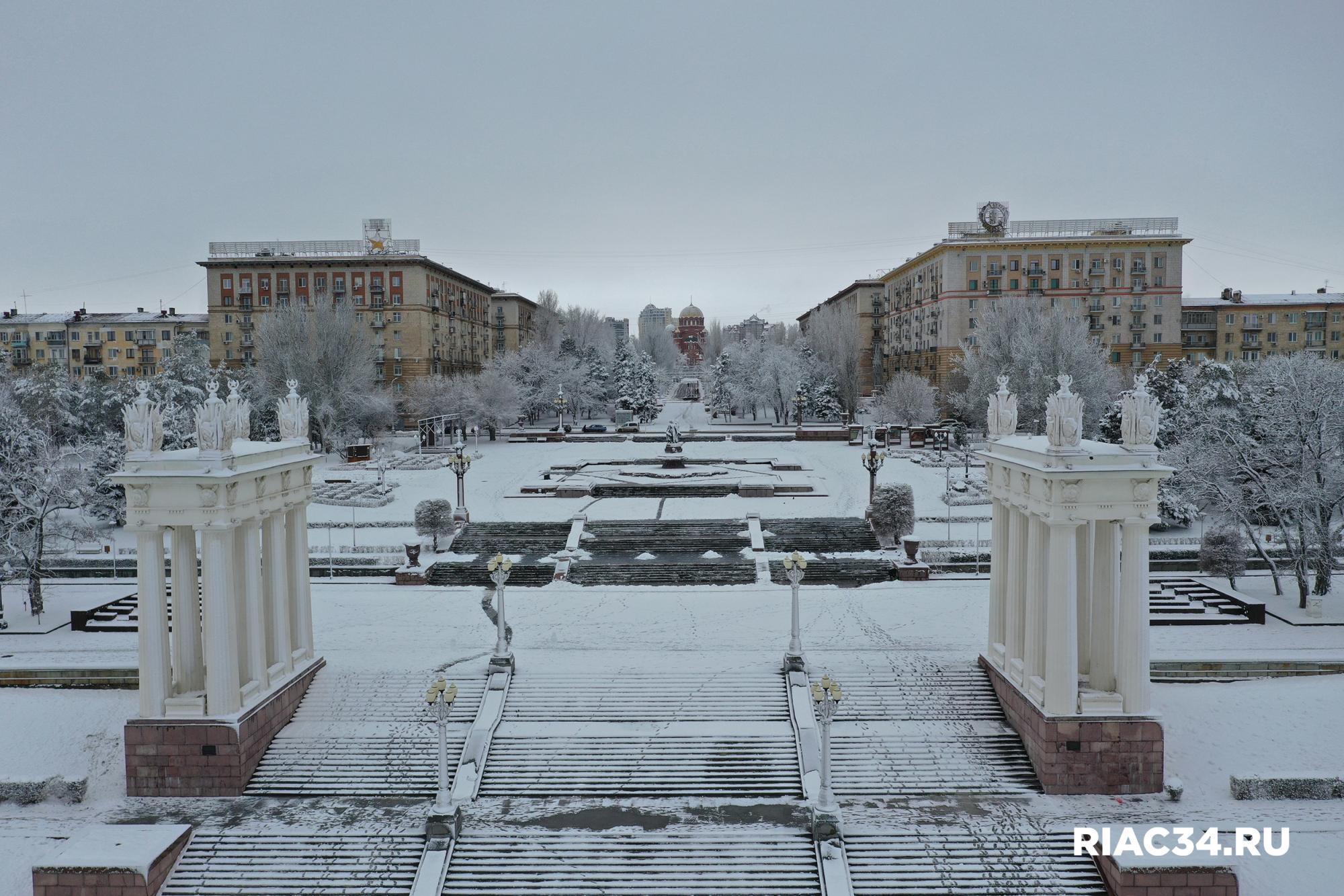 org_f2f6ab424595dc12