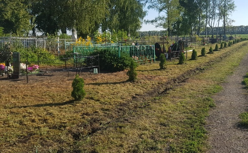 В Волгограде временно ограничат въезд на кладбища из-за уборки