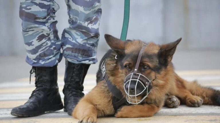 В Волгограде задержали подозреваемого в распространении наркотиков