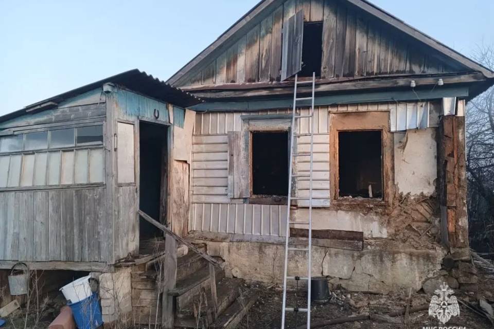 220973-2026213-25833-4lvto7.vh1al