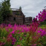 Россиянам объяснили правила изъятия заброшенных участков