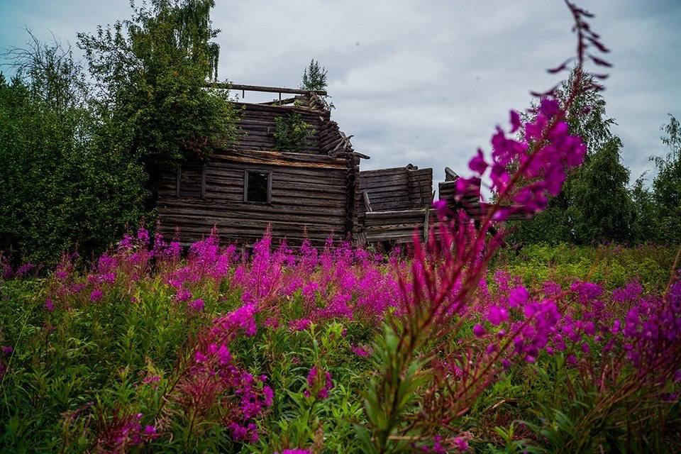 Россиянам объяснили правила изъятия заброшенных участков