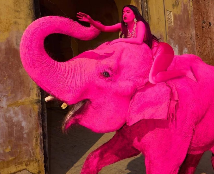 Фотосессия ради лайков обернулась трагедией: в Индии погиб слон после «розового эксперимента»