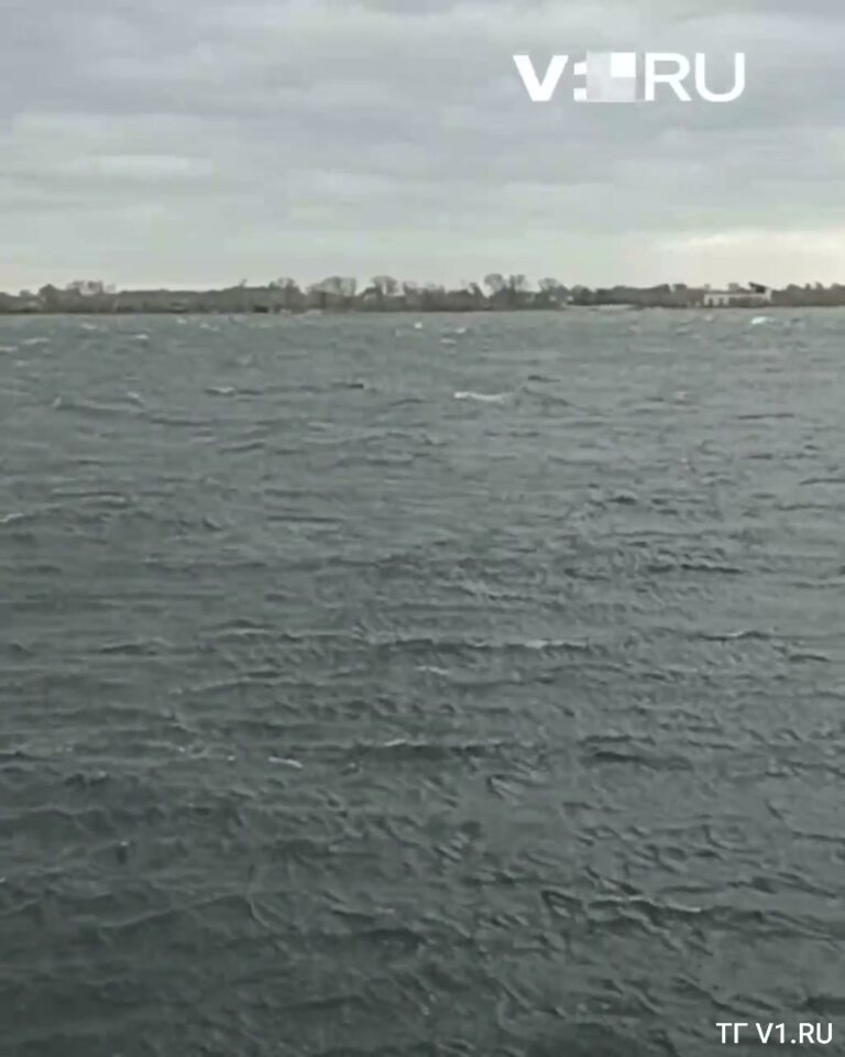 33016_33016-frame