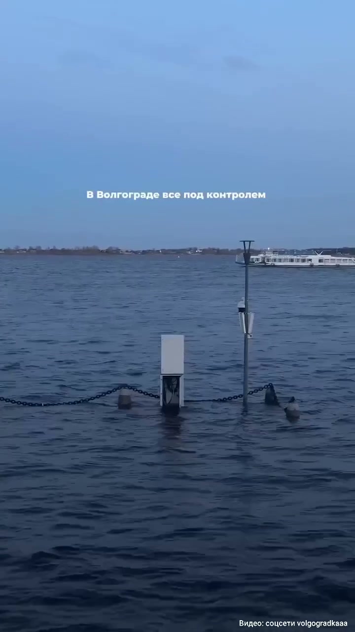 33107_33107-frame
