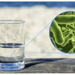 В Омской области выявили опасные бактерии в воде: жителям рекомендовали не пить воду из-под крана