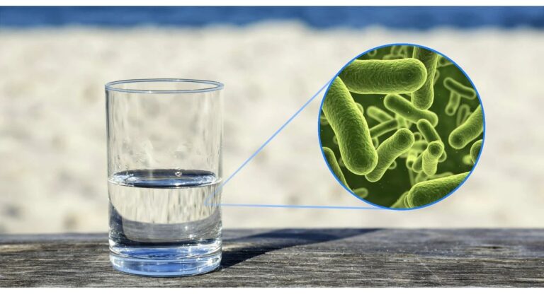 В Омской области выявили опасные бактерии в воде: жителям рекомендовали не пить воду из-под крана