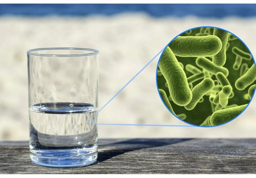В Омской области выявили опасные бактерии в воде: жителям рекомендовали не пить воду из-под крана