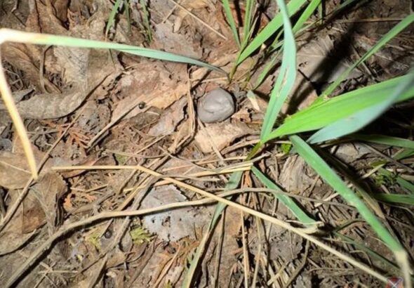 В Волгограде задержали подозреваемых в сбыте наркотиков: оборудовали тайники в районе