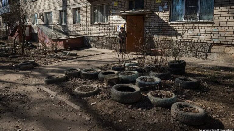 Клумбы под запретом: за старые покрышки во дворах теперь могут штрафовать