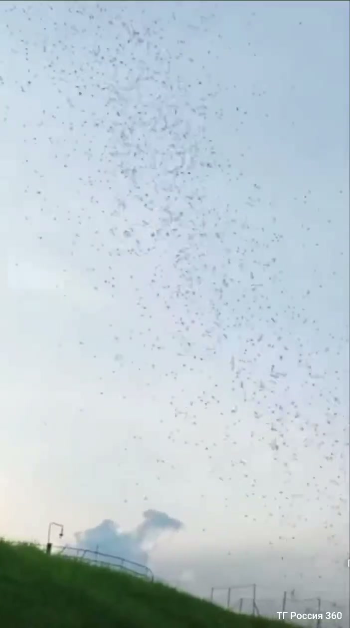 34035_34035-frame