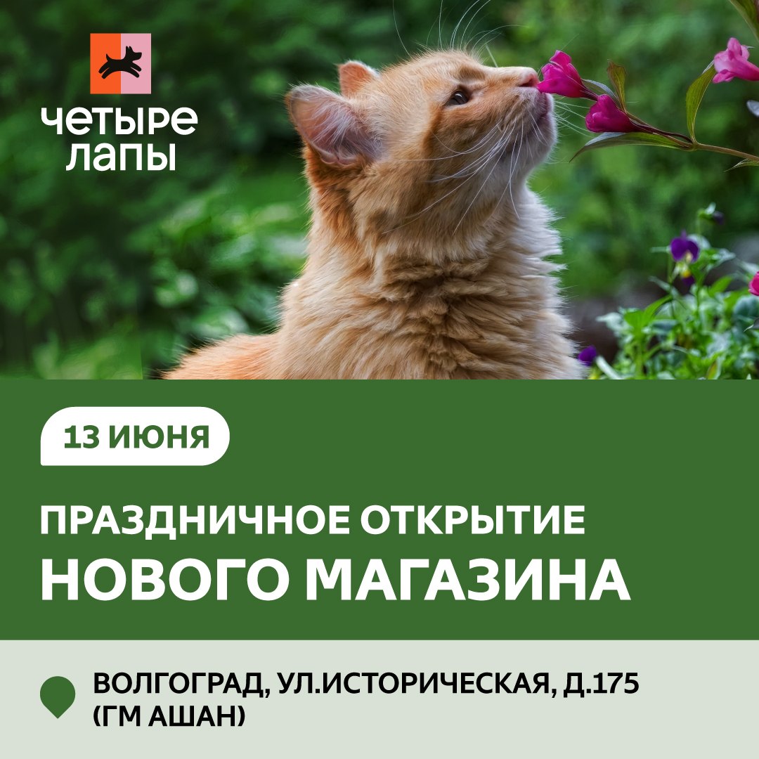 34566_34566