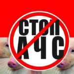 21398b6b1ac8415bbb6243de3d23fe24
