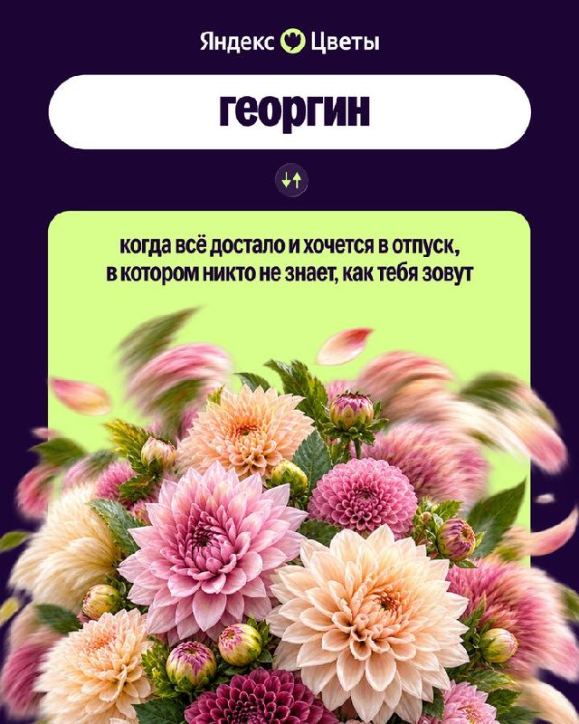 21782_21777