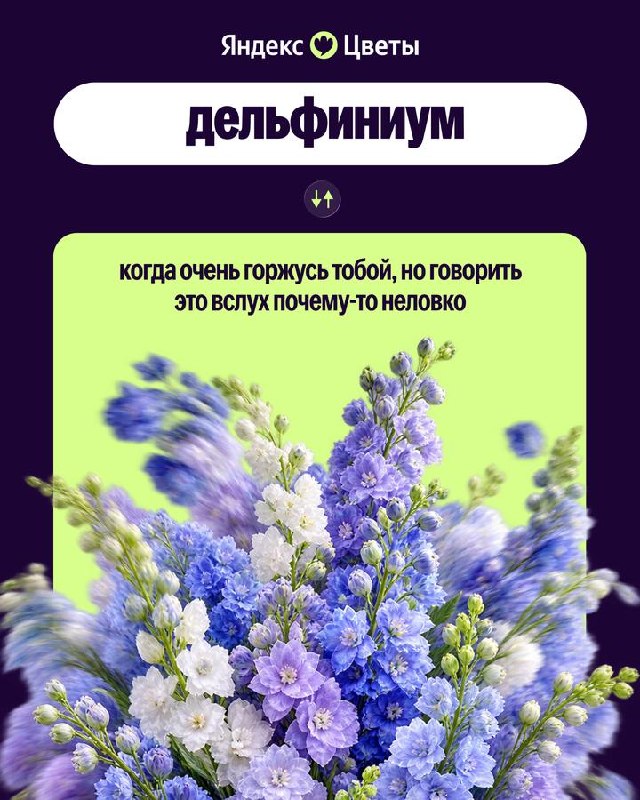 21782_21778