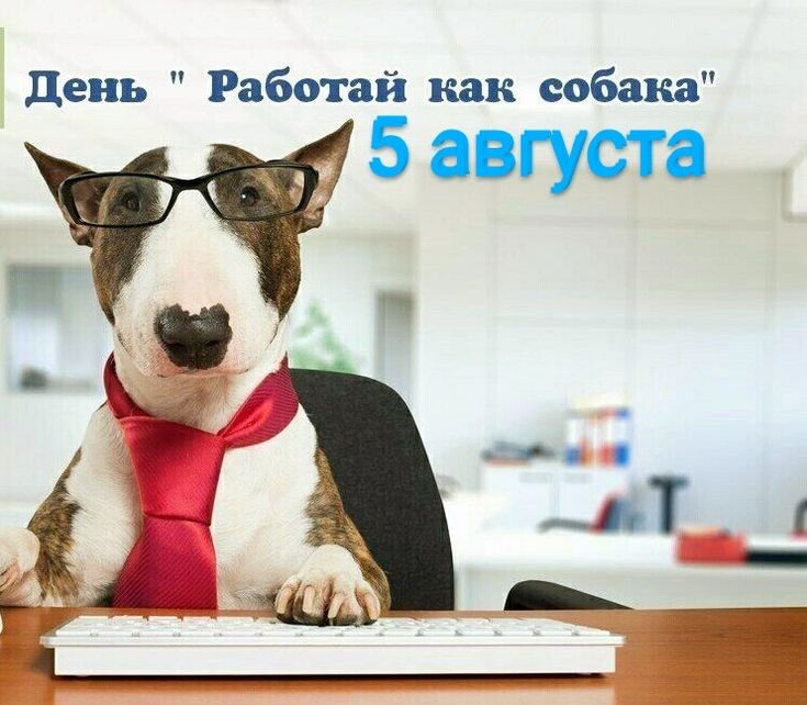 a1ba33a592e24f02ade45fdfb3fb9bd2